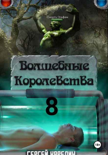 Волшебные королевства 8